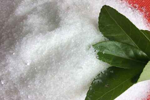 �۱�ϩ������������������������Щ��(y��u)��(sh��)